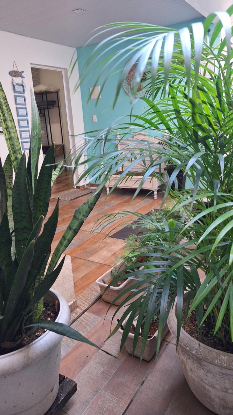 Camisa 10 Guest house